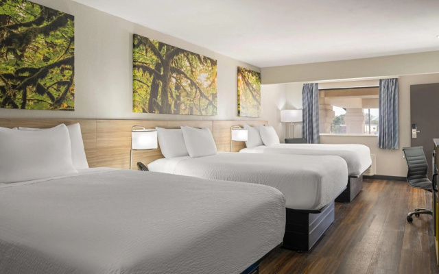 Days Inn & Suites by Wyndham Byram - Image 4