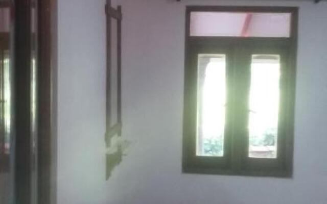 Angry birds homestay