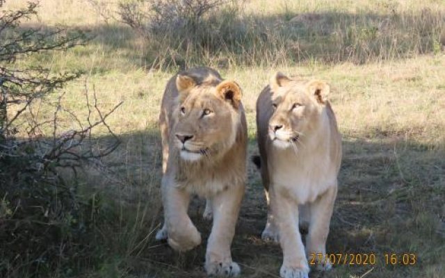 Garden Route Safari Camp