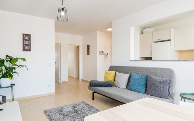 Akisol Tavira Paleto