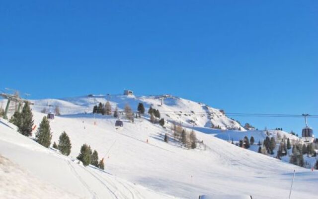 Titol - Clara (PFS471)