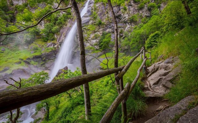 Garden On The Lake in Gambarogno Vira
