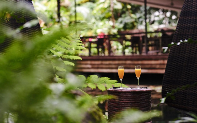 Daintree Ecolodge