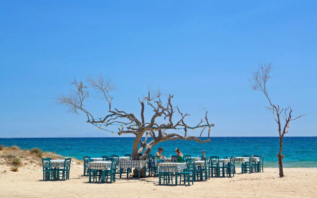Naxos Finest Hotel & Villas