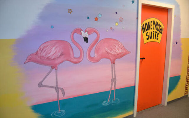 Black Sheep Hostel Cologne