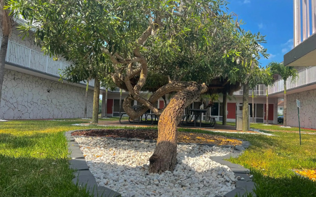 Garden Inn Homestead