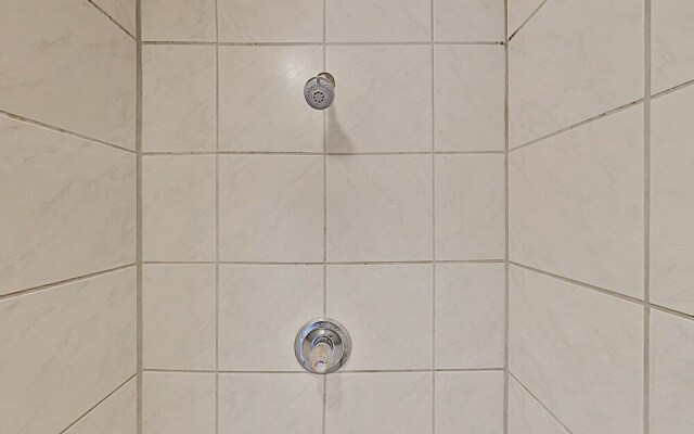 203bw13t 3 Bedroom Home