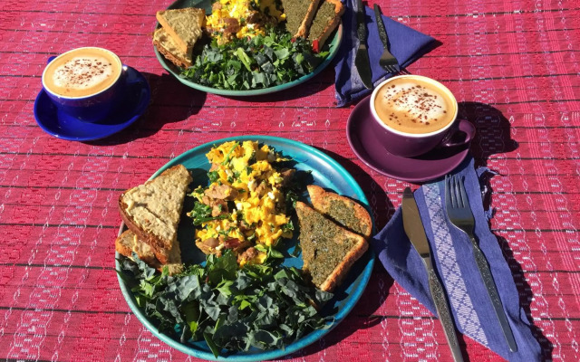 Omarama Oasis - Permaculture Glamping