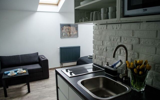 Modern Studios in Old City Krakow