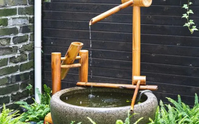 City Courtyard Homestay