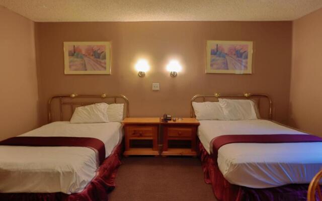 Red Carpet Inn Berlin