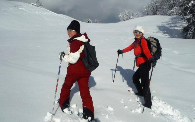 Mont Cervin