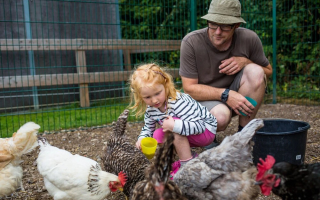 Familien Erlebnishof Büdlfarm