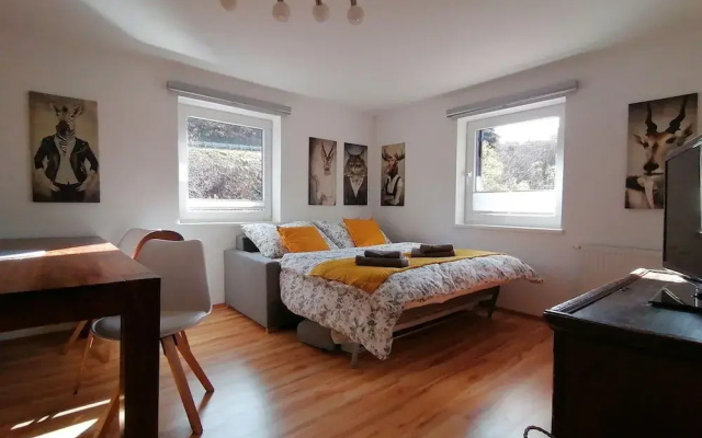 Apartment in Dienten Near Gabuhel Ski Lift