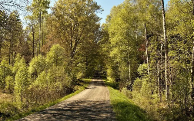 4 Star Holiday Home in Bredaryd