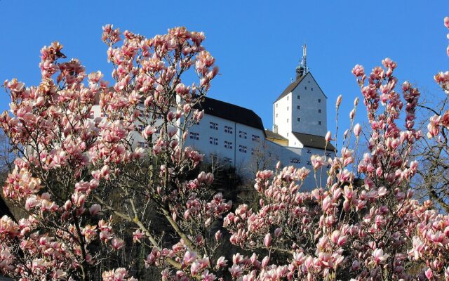 Hotel Hohenaschau