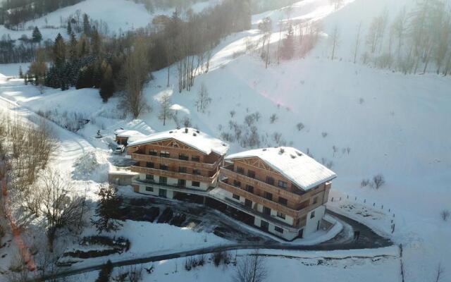 Ski in - Ski out - Franz Johann Appartements by Schladmingurlaub