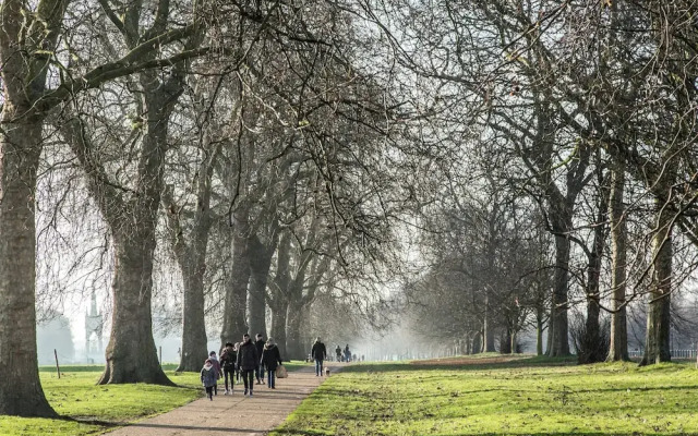 Rutland Mews South by Onefinestay