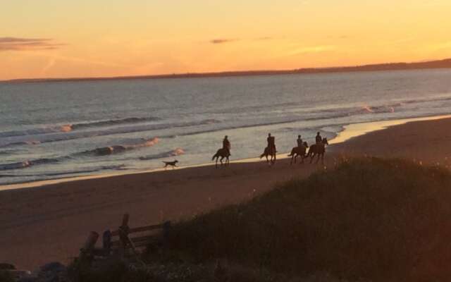 Moonlight Beach Suites