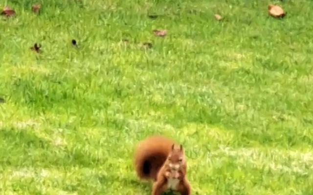 Westbourne by the sea, Benllech, Anglesey.