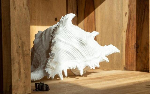 Apartmenthaus-Kiki-Wohnung-Waikiki