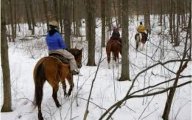 Poconos Exquisite Home