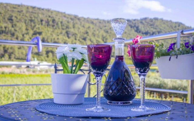 Filip - Vineyard and Large Terrace - SA2 Rozi
