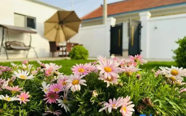 Aiqiushan Homestay