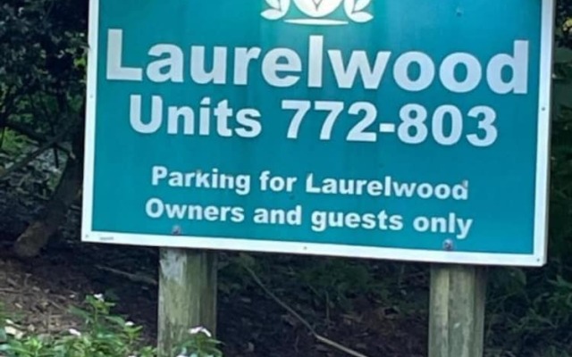 Wintergreen Mountain Ski Condo