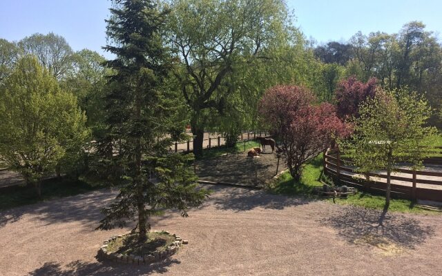 Gîte de L'ecurie la Fourasse