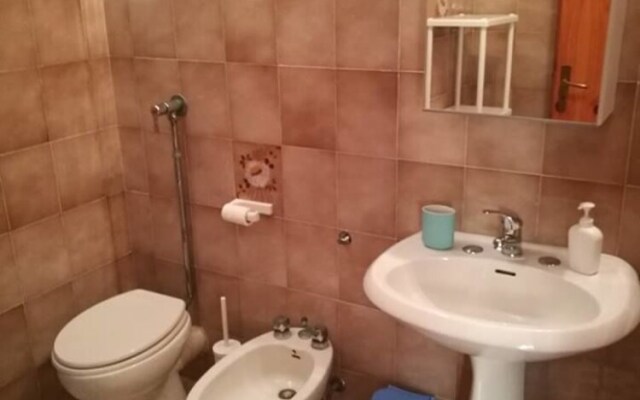 Home-holidays Sea-life