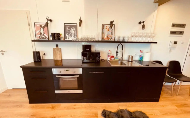 Apartamenty KTW PENTHOUSE z TARASEM
