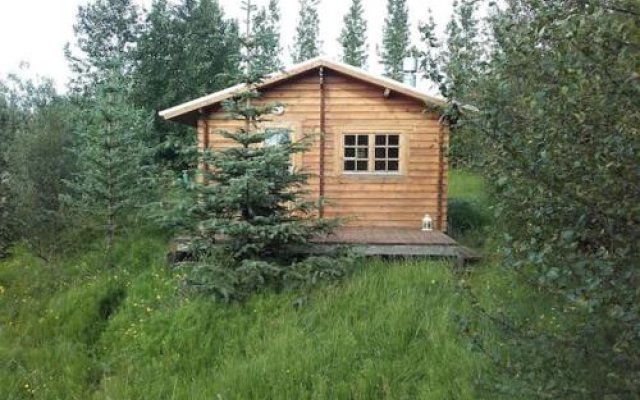 Arngrimslundur log cabin - cabin 3