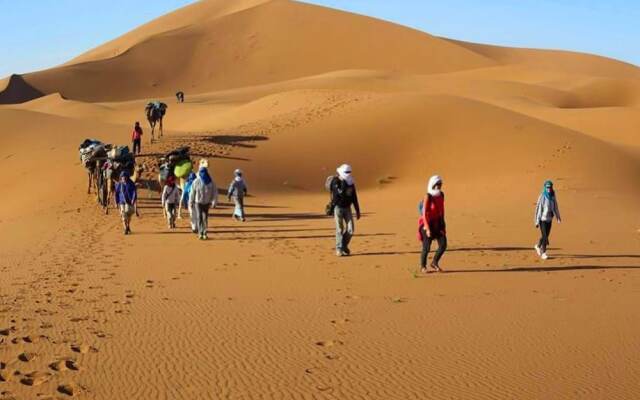 Locals Under Stars Trips