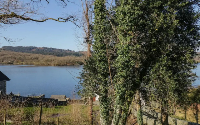 Lower Lake View