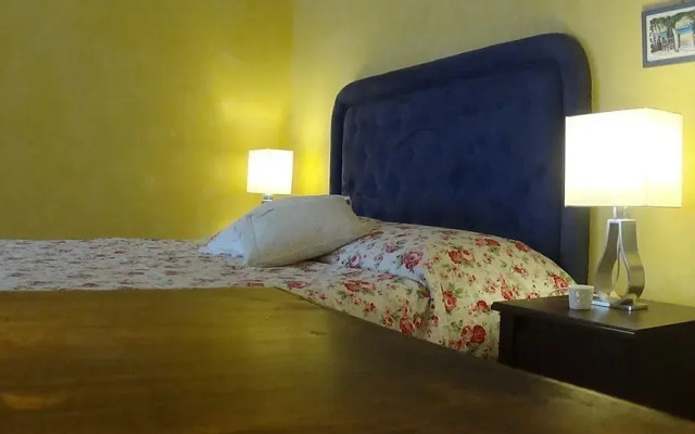 Il fenicottero rosa - Monteverde