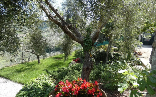 Scappo In Umbria, La Casa Di Giuliana