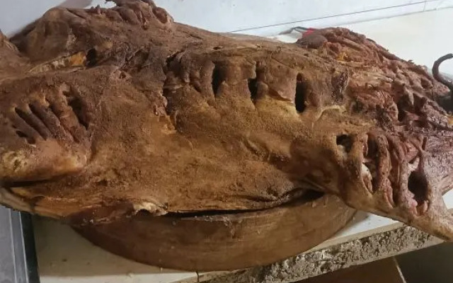 Red Land Wangcai Resort