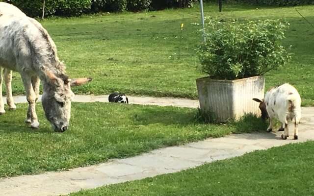 Il Trattore Bed & Breakfast