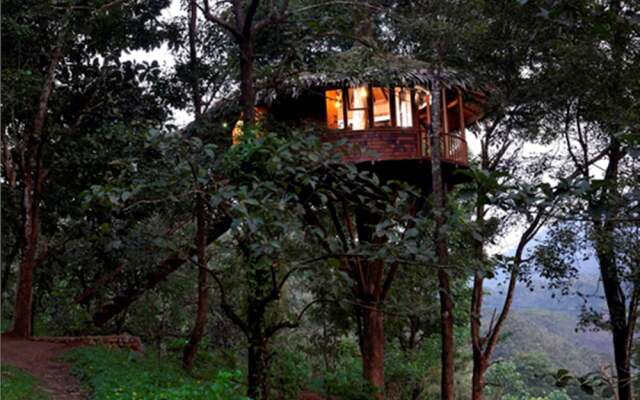 Rainforest Boutique Resort