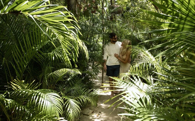 Arthouse Tulum