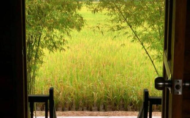 Eat-Sleep-Paddy-Repeat! Country Luxury @ Dorani