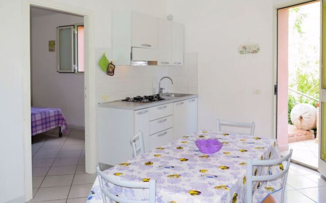 Il Seccione (PFO132)