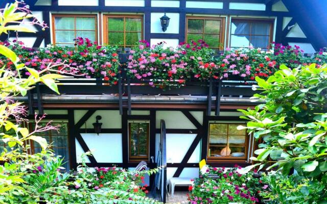 Haus Bachschwalbe
