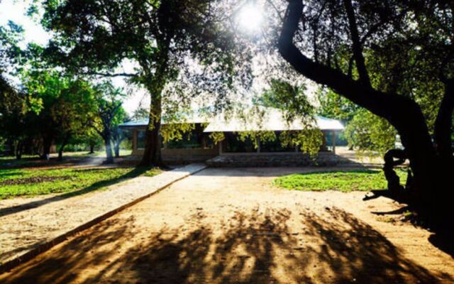 Yala Crocodile Park