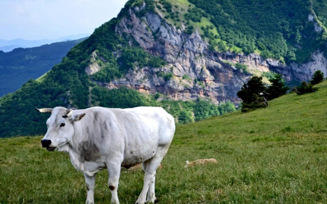 Locanda della Rocca