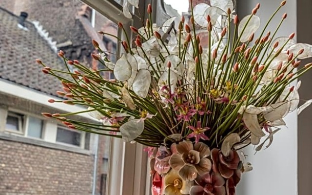 B&B Gracht 62