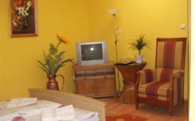 Bástya Wellness Hotel - Nyírbátor