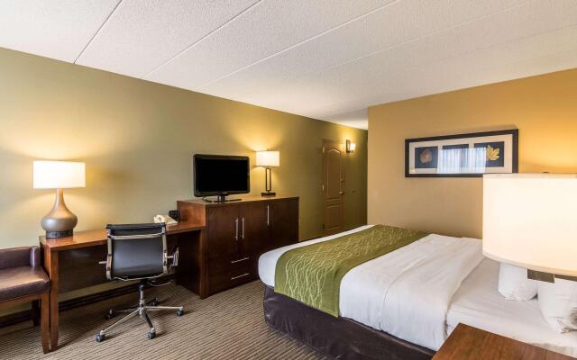 Comfort Inn Plymouth - Minneapolis