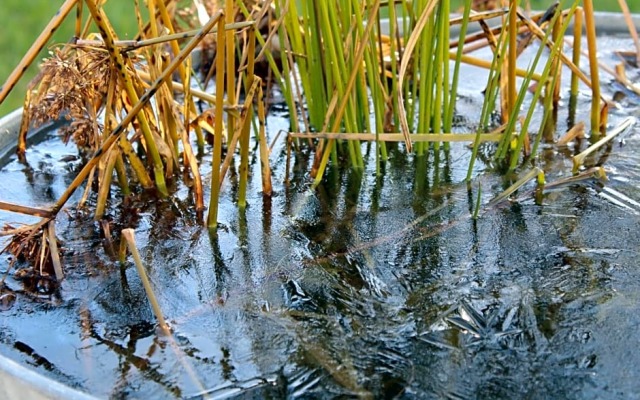 Carpe Diem - Bnb - Chambres dhôtes